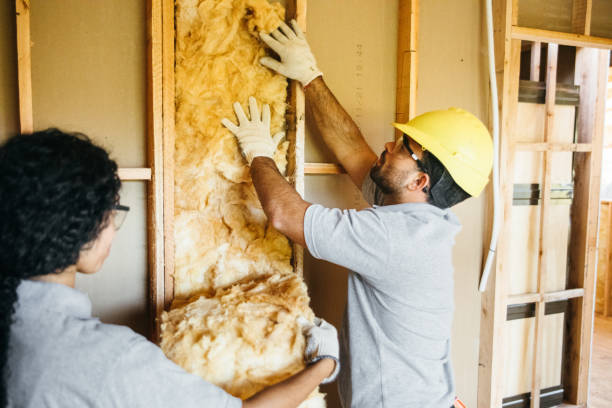 Best Wall Insulation Installation  in Van Vleck, TX